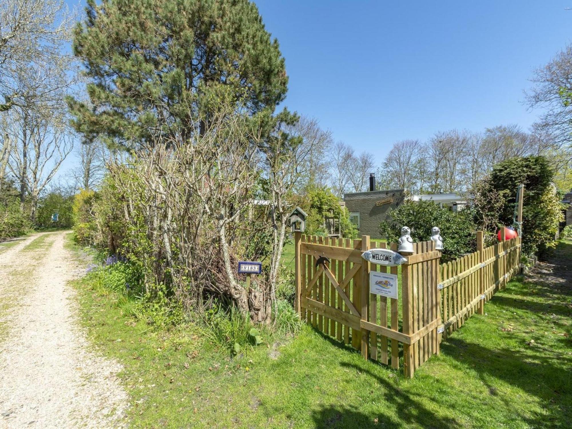 Stylish Bungalow With A Large Garden Sint Maartensvlotbrug Eksteriør bilde